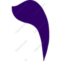 Elegant Purple