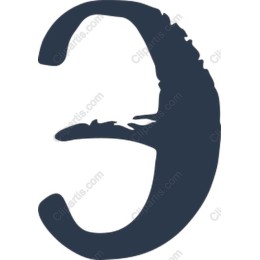 Stylish Crocodile