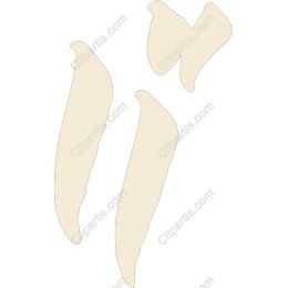 Abstract Elegance