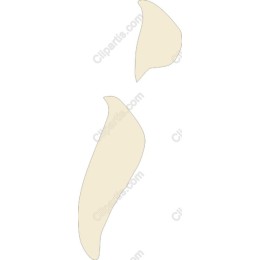 Elegant Minimalist