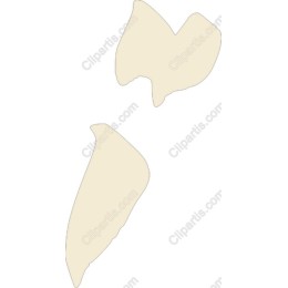 Elegant Abstract Shapes