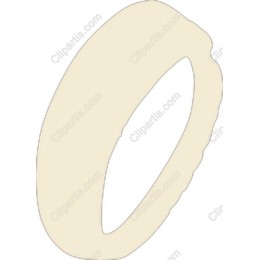 Abstract Ring