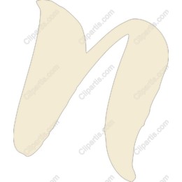Elegant Letter N