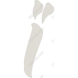 Stylized Carrot