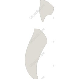 Abstract Elegance Shape
