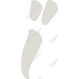 Minimalist Footprint