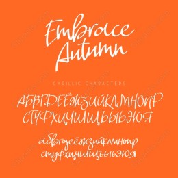Embrace Autumn