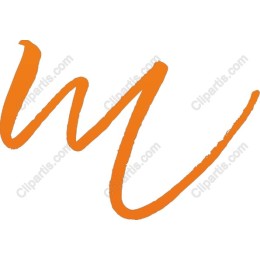 Bold Orange Brush Stroke M