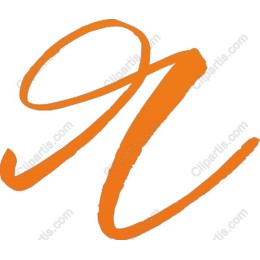 Elegant Orange N