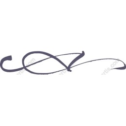 Elegant Flowing Decorative Line