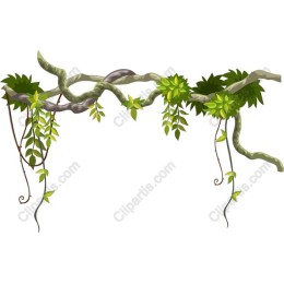 Tropical Jungle Vines and Leaves