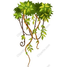 Lush Green Foliage
