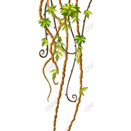 Lush Vine and Leaf