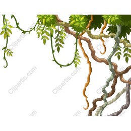 Leafy Vines