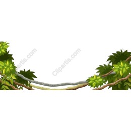 Lush Green Foliage