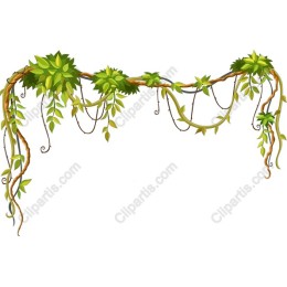 Lush Green Vine