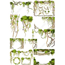 Vibrant Vine Clipart Bundle