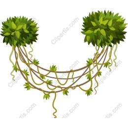 Vibrant Vine