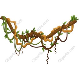 Jungle Vines