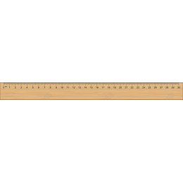 Realistic Wooden Ruler