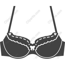 Stylish Bra