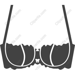 Elegant Bra