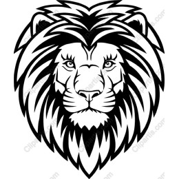 Majestic Lion Head