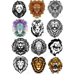 Majestic Lion Bundle - 12 Unique