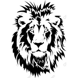 Majestic Lion Face