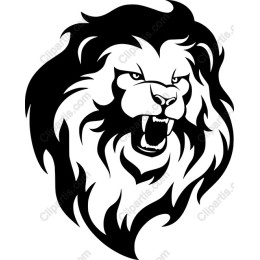 Fierce Lion work