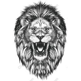 Roaring Lion Head