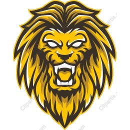 Vibrant Lion Head