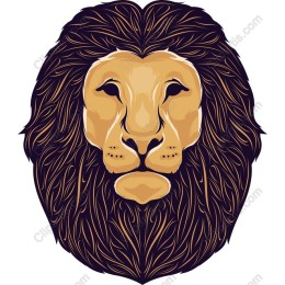Majestic Lion Head