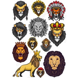 Lion Bundle