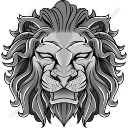 Majestic Lion Head