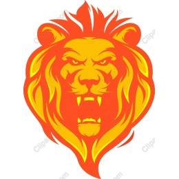 Vibrant Lion Head