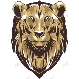 Majestic Lion Head
