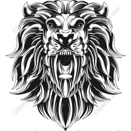 Majestic Lion Head
