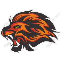 Fierce Lion Head
