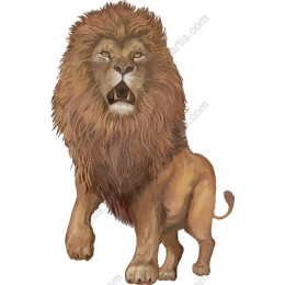 Majestic Lion