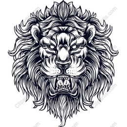 Majestic Lion Head