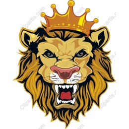 Regal Lion Head