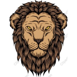 Majestic Lion Head