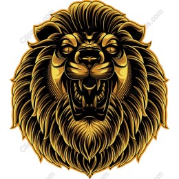 Majestic Lion Head