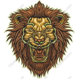 Majestic Lion Head