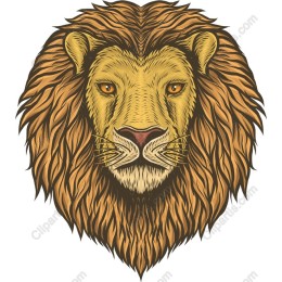 Majestic Lion Head