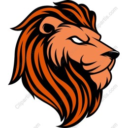 Majestic Lion Head