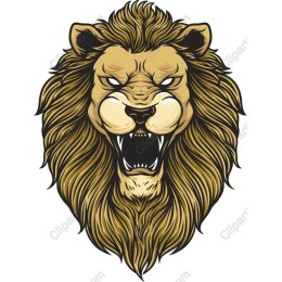 Fierce Lion Head