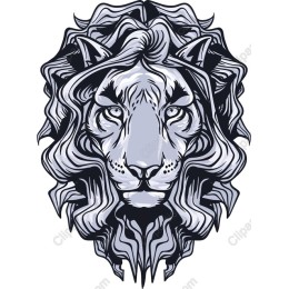 Majestic Lion Head