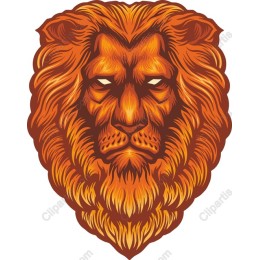 Majestic Lion Head